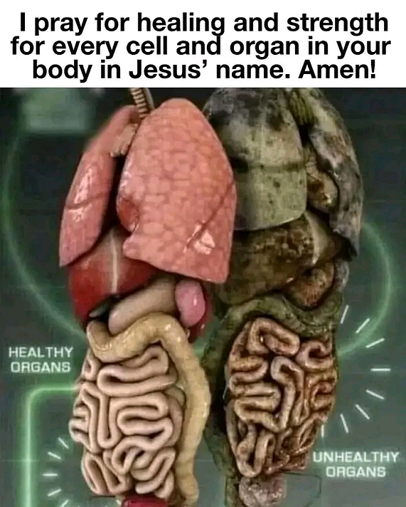 Hello my good brother please what should I post here