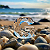 Post: Whats Should We Call This According To Its Alphabet? Ur Opinion And Reactions Need Lets Go