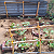 Post: This is my little garden in my home  #garden #Featured